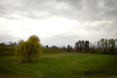 4.13.1.0004_Amerikanischer Friedhof END 2_Thomas Smetana.jpg; 4.13.1.0004; ;